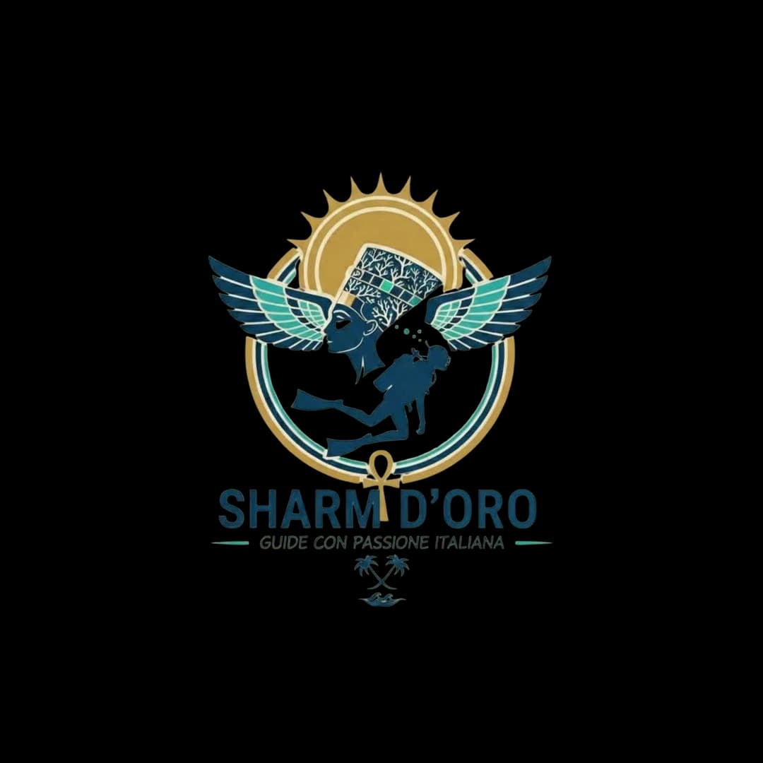 sharm d'oro website building