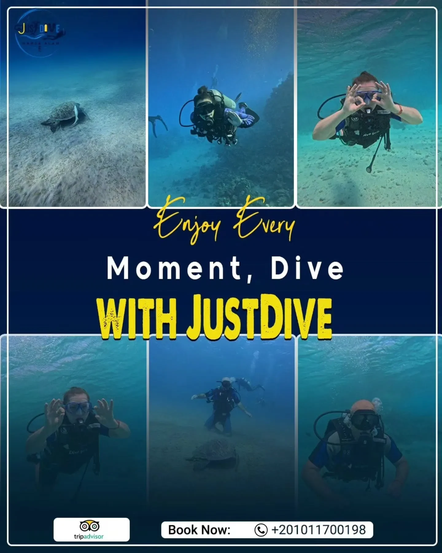 just dive social media campaign (1)