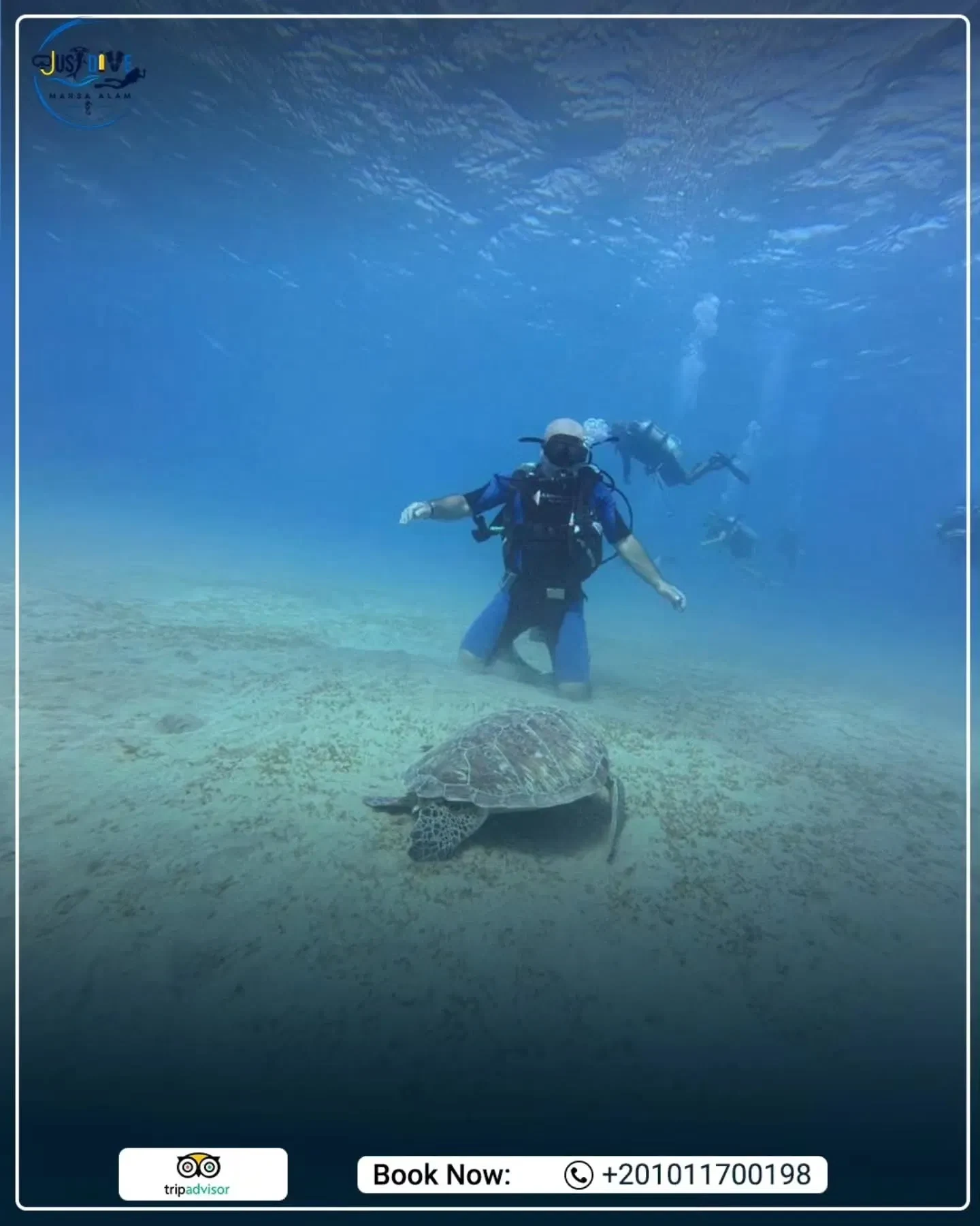 just dive social media campaign (3)